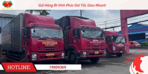 Dịch Vụ Gửi Hàng Đi Vĩnh Phúc Tại Phượng Hoàng