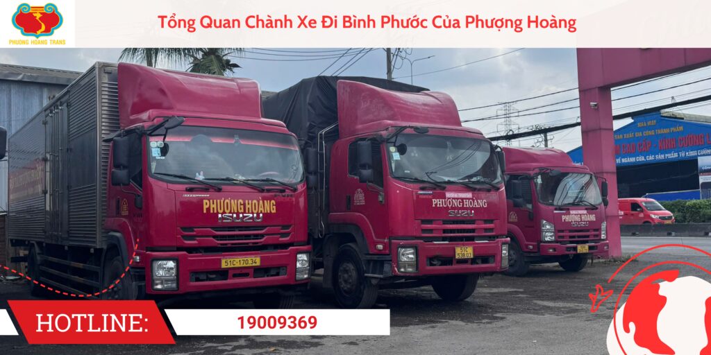 Tổng Quan Chành Xe Đi Bình Phước Của Phượng Hoàng