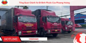 Tổng Quan Chành Xe Đi Bình Phước Của Phượng Hoàng